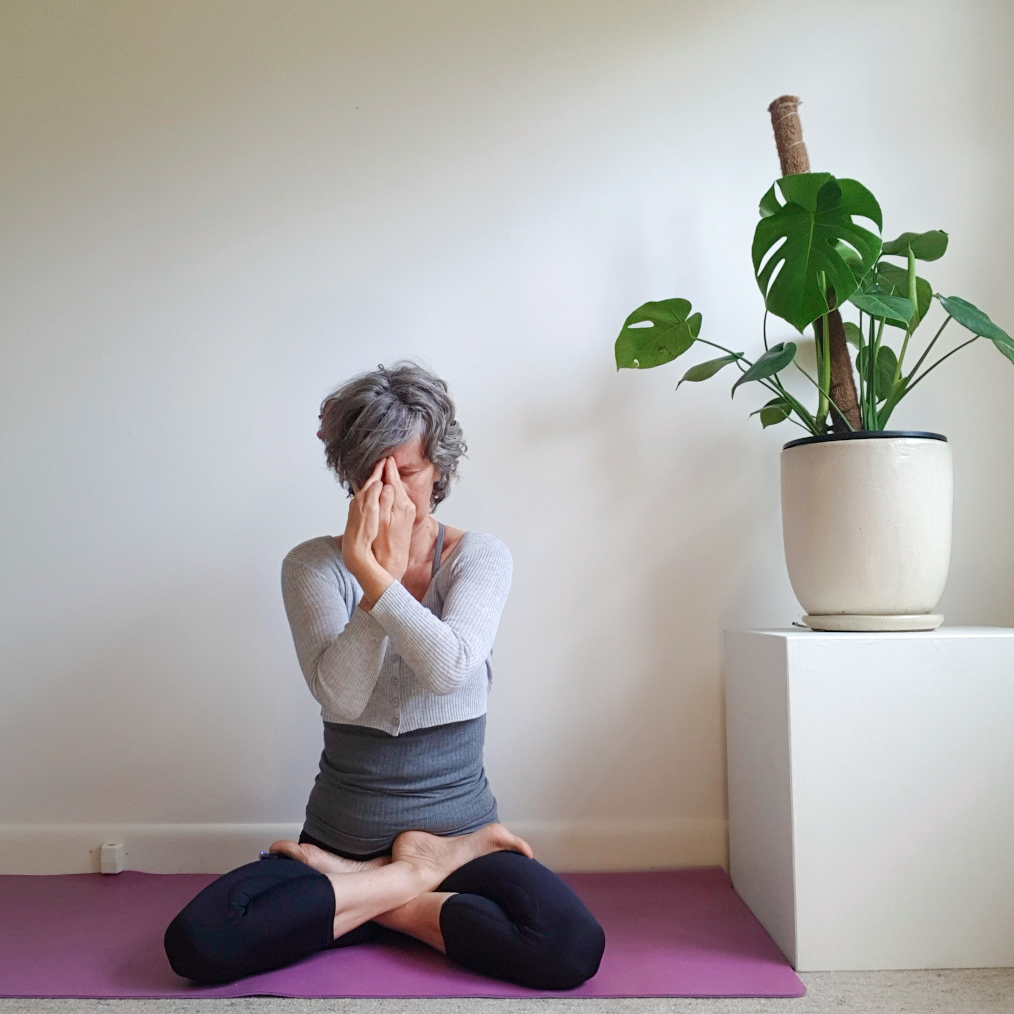 Amalin Yoga Castlemaine yoga plan