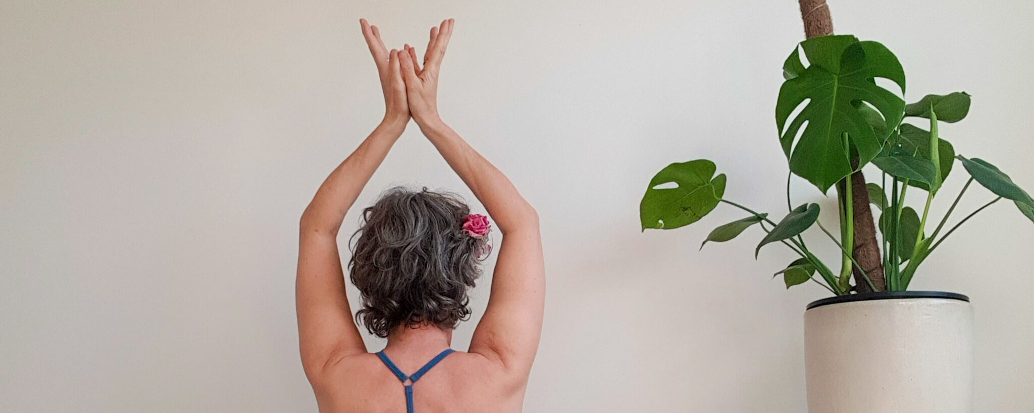 Castlemaine yoga timetable